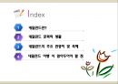 네덜란드 2페이지