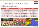 네덜란드 17페이지