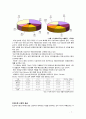 하이닉스기업조사,hynix,반도체산업정의국내외적발전과정,국제적위상,향후전망,마케팅,STP,4P전략,물류체계 분석 7페이지