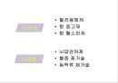 당뇨병과 당뇨합병증, 급성합병증, 만성합병증, 합병증관리 및 치료20130603 (1) 31페이지