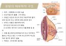 유방암, 바로 알고 이겨내자.ppt 12페이지