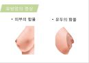 유방암, 바로 알고 이겨내자.ppt 26페이지