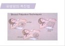 유방암, 바로 알고 이겨내자.ppt 36페이지
