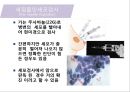 유방암, 바로 알고 이겨내자.ppt 46페이지