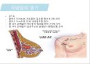 유방암, 바로 알고 이겨내자.ppt 55페이지