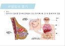 유방암, 바로 알고 이겨내자.ppt 58페이지