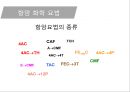유방암, 바로 알고 이겨내자.ppt 72페이지