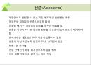 대장내시경에서 발견되는 소견 (대장 용종 및 대장암, 기타 소견).ppt 25페이지