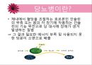 당뇨병과 합병증 - 당뇨 합병증의 종류와 환자 관리 (급성합병증, 만성합병증, 합병증관리 및 치료).ppt 3페이지