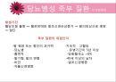 당뇨병과 합병증 - 당뇨 합병증의 종류와 환자 관리 (급성합병증, 만성합병증, 합병증관리 및 치료).ppt 29페이지