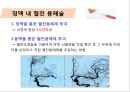 뇌혈관질환(뇌졸중) (Cerebrovascular disease).ppt 37페이지