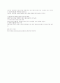 정보격차 4페이지