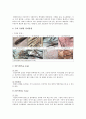 두피(scalp)와 두피관리의 개요 및 두피관리방법 - 두피의 구조, 기능, 두피의 유형, 마사지 6페이지