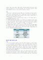 정치적 교정의 유형별 사례분석 9페이지