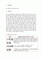 유동가시화 실험 : 차원에 따른 유동가시화 실험 3페이지