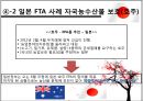 일본 FTA 추진정책.ppt 15페이지