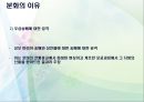 크리스트교 종파간의 차이 (프로테스탄트와 가톨릭의 차이)  13페이지