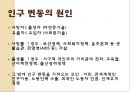 여성은 아이를 꼭 낳아야 하는가 .ppt 18페이지
