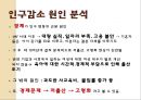 여성은 아이를 꼭 낳아야 하는가 .ppt 22페이지