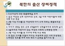 여성은 아이를 꼭 낳아야 하는가 .ppt 30페이지