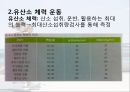 유산소 트레이닝의 원리와 방법.ppt 4페이지