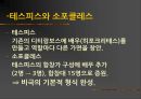 그리스 비극과 시대정신 11페이지
