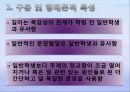 정신지체아동의 언어적 특성  3페이지