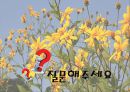 정신지체 아동 평가 도구 K-ABC  22페이지