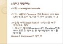 중세유럽 크리스트교 문화로 이해한 십자군 전쟁의 의의  4페이지