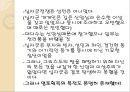 중세유럽 크리스트교 문화로 이해한 십자군 전쟁의 의의  19페이지