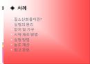 질소산화물  2페이지