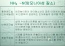 총질소(T-N) 흡광광도법  16페이지