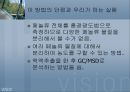 페놀류 측정 4페이지