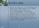 페놀류 측정 5페이지