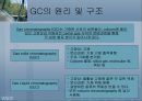 페놀류 측정 11페이지