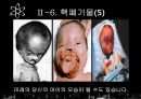 원자력 발전, 그 불편한 진실 15페이지