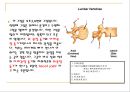 허리 근육 및 관절  4페이지