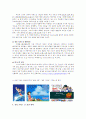 애니메이션을 통해 들여다 본 일본의 문화 생산력  8페이지