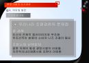현대 사회의 도시경관  32페이지