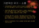 1차 세계대전의 무기사용  22페이지