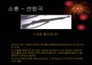 1차 세계대전의 무기사용  24페이지