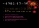 1차 세계대전의 무기사용  42페이지