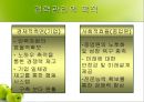 경력관리 (우리은행, 삼성전자) [기업의 경력관리 우리은행,기업의 경력관리 삼성전자, 기업의 경력관리 조사, 기업의 경력관리 사례 기업의 경력관리 ppt, 기업의 경력관리 피피티, 기업의 경력관리] 6페이지