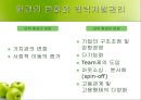 경력관리 (우리은행, 삼성전자) [기업의 경력관리 우리은행,기업의 경력관리 삼성전자, 기업의 경력관리 조사, 기업의 경력관리 사례 기업의 경력관리 ppt, 기업의 경력관리 피피티, 기업의 경력관리] 8페이지