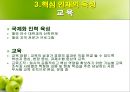 경력관리 (우리은행, 삼성전자) [기업의 경력관리 우리은행,기업의 경력관리 삼성전자, 기업의 경력관리 조사, 기업의 경력관리 사례 기업의 경력관리 ppt, 기업의 경력관리 피피티, 기업의 경력관리] 28페이지