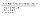 로마의 가부장제와 노예제도  20페이지