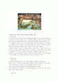 한중일 삼국의 마당 비교 6페이지