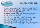 에너지 시스템.ppt 7페이지