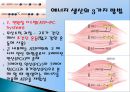 에너지 시스템.ppt 8페이지