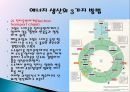 에너지 시스템.ppt 12페이지
